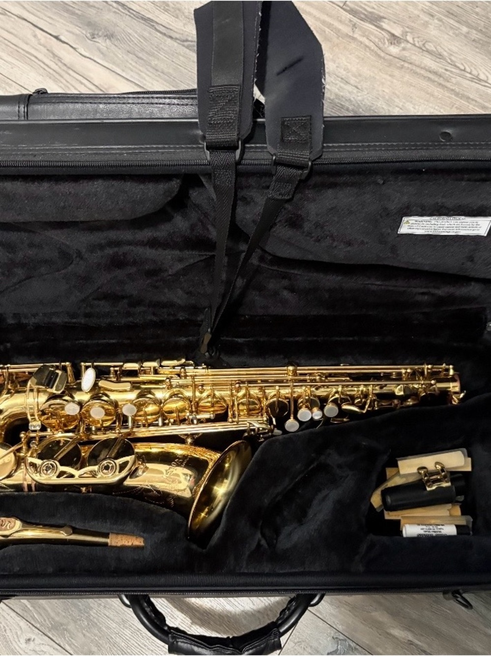 Gold Alto Saxophone with Case - Classic Finish - Picture 2 of 5
